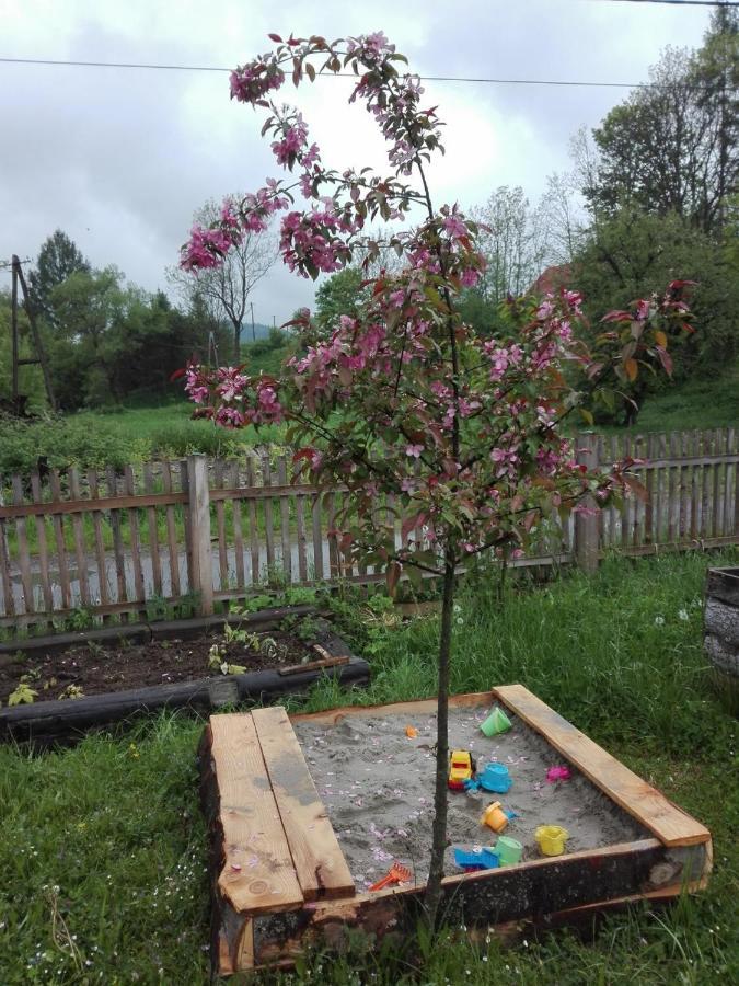 Vila Pod Bieszczadem Jasliska Exteriér fotografie